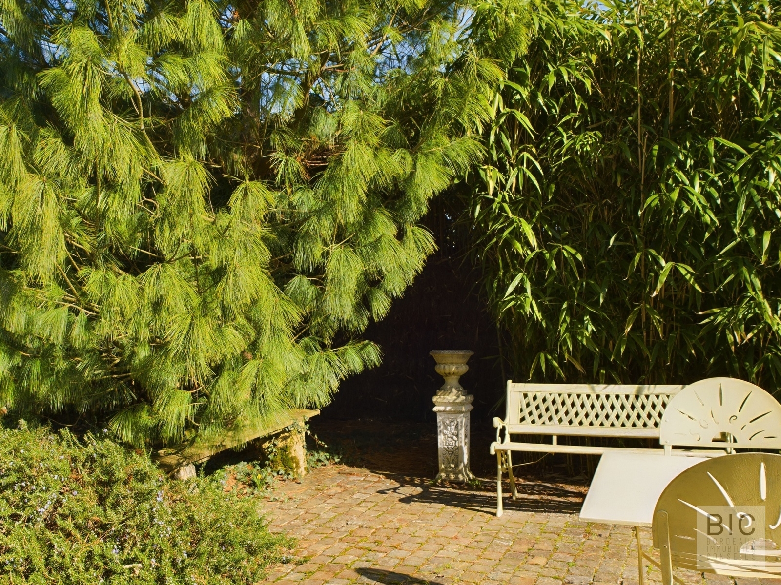 CAM03618G0-PR0061-STILL013