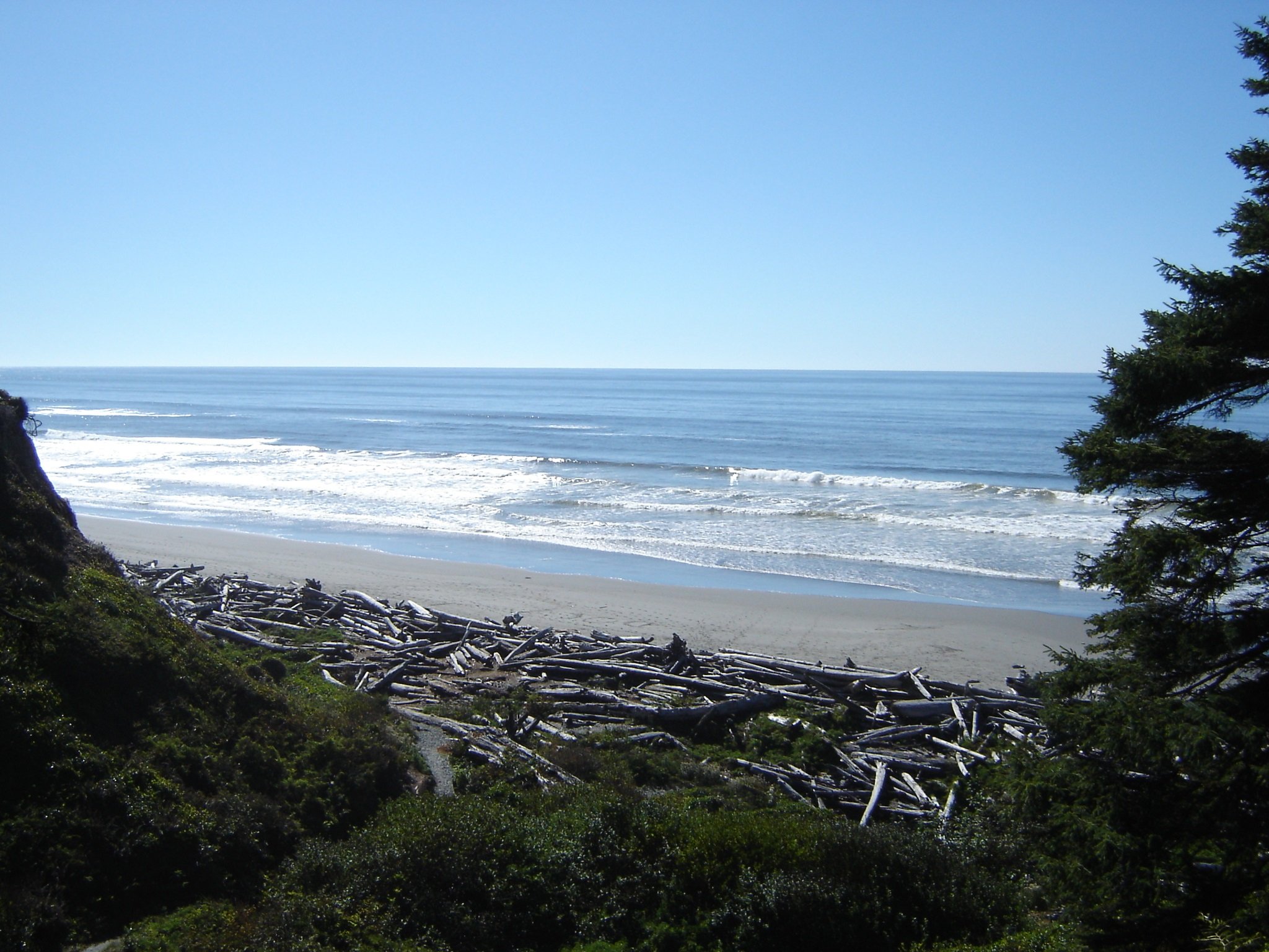 Beachview Counseling Services