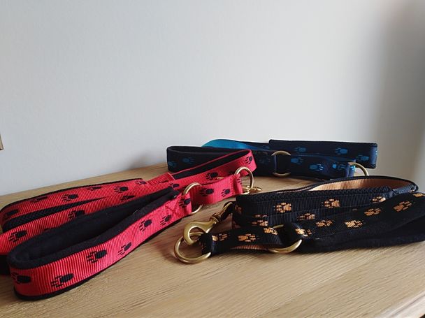 Halsband en leiband / Collier et laisse  - 30 eur/set