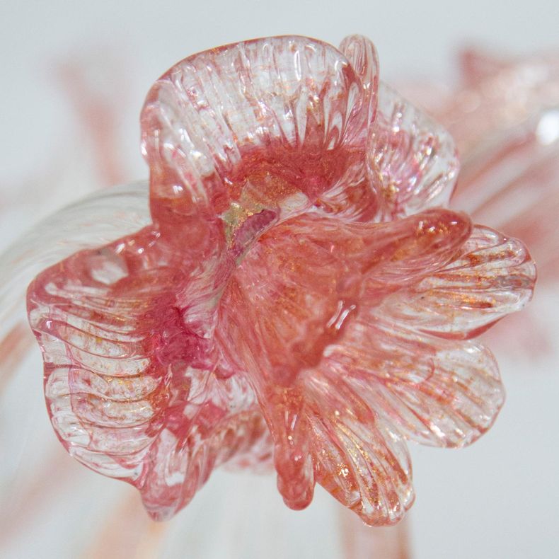 CILIA_PartA_2560