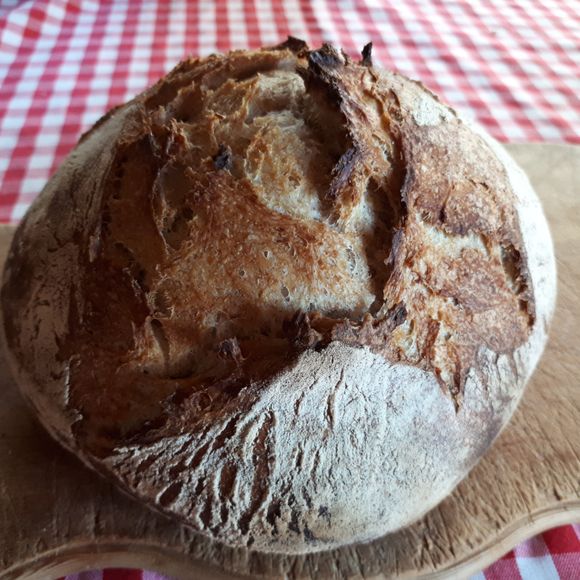 Brot Furna