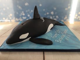 Killer whale