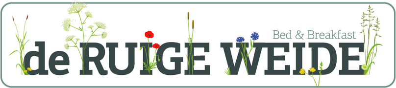 B&B De Ruige Weide