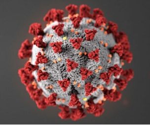 Mange vet nå hvordan et virus kan se ut