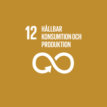 Globalt mål 12, rund