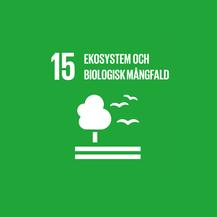 Globalt mål 15 rund