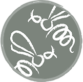 Andelsbiodling