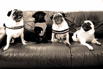 Beehive Photography Studios - Crumlin - kids Photography - Child - Chi