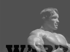 MUSCLES / PHYSIQUE / STRENGTH