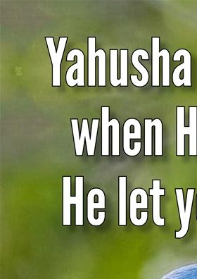 Benny wants to deny himself and follow Yahusha's example by letting everyone have it, so that his loving behaviour can really affect them, and encourage them to wanna change. Benny is a very brave Bird! Be like Benny!
