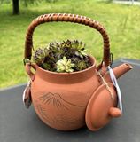 Teekrug