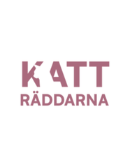 Katt