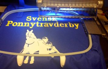 foto svenskt ponnytravderby
