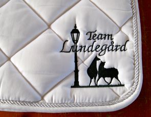 foto team lundegård