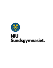 Skärmbild 2024-12-09 113528