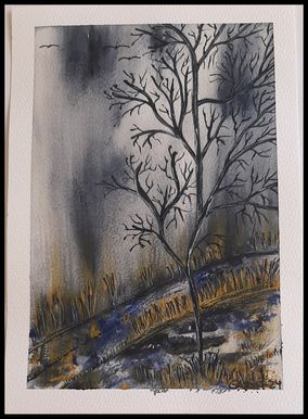 a14
