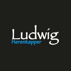 sponsors_bemmelke_13