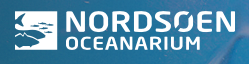Nordsøen Oceanarium