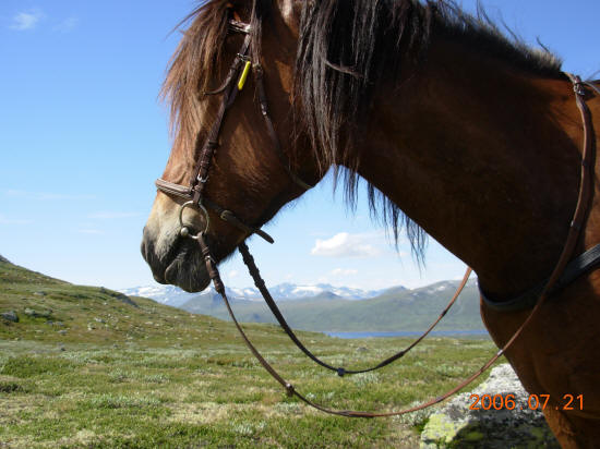Rabbtussa, Jotunheimen