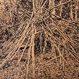 Findingclosure60x60 003 low