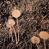 Findingclosure60x60 005 low