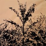 Findingclosure60x60 008 low