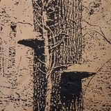 Findingclosure60x60 020 low