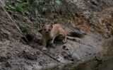 hermine 28 06 2023 (2)