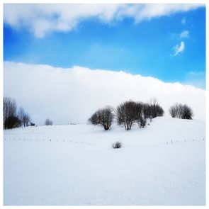 20180315_135345-01