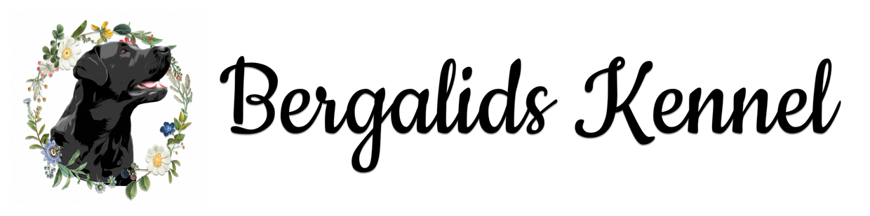Bergalids Kennel