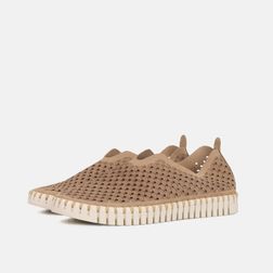 10-TULIP3275-110€F_1