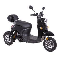 Scooter stable "Tristab"