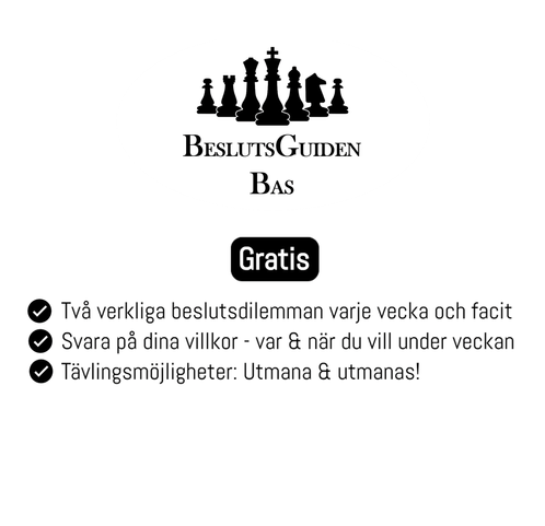 Tjänstepaket: Beslutsguiden Bas