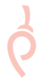 Best Pittig Oudenburg