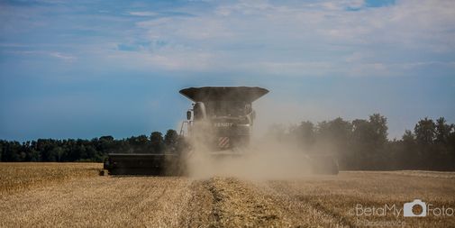 Fendt Ideal 9T