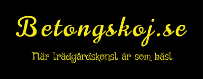 betongskojidalumab.se