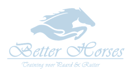 Better Horses 