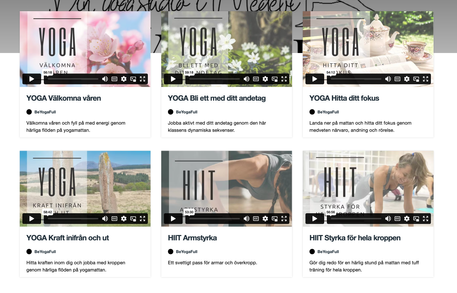 core strength vinyasa yoga