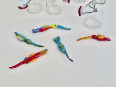 Botteldbirdfish (3)