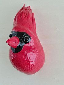 Kardinaals vogel (6)