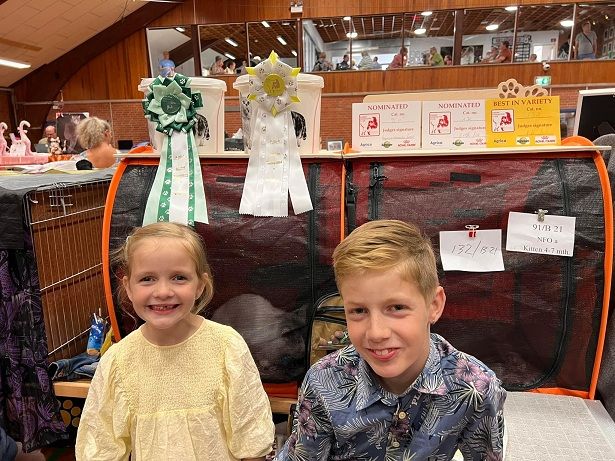 To af mine børnebørn elsker at være på udstilling det er mit yngste barnebarn Clara og næstyngste barnebarn Andreas, her går de næsten altid Junior Handling. Over Claras hoved ses de kokarder de ofte får når de deltager.