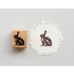 Hase