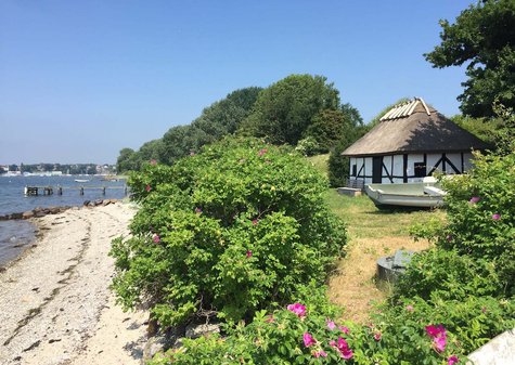Radurlaub insel fünen und die Ostseeradweg Radurlaub insel fünen und die Ostseeradweg