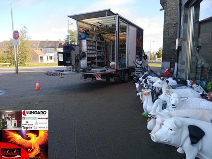 Bintein onderhoud pelletkachel , houtkachel , schoorsteen 93