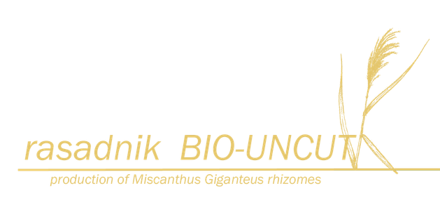 bio-uncut