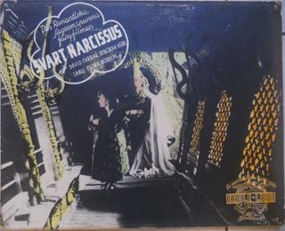 253  Svart Narcissus  1946