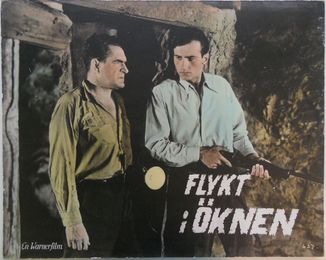 396   Flykt i öknen  1945