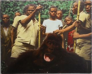 520A  Gorilla (Apmänniskan)
