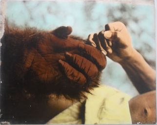 522  Gorilla (Apmänniskan)
