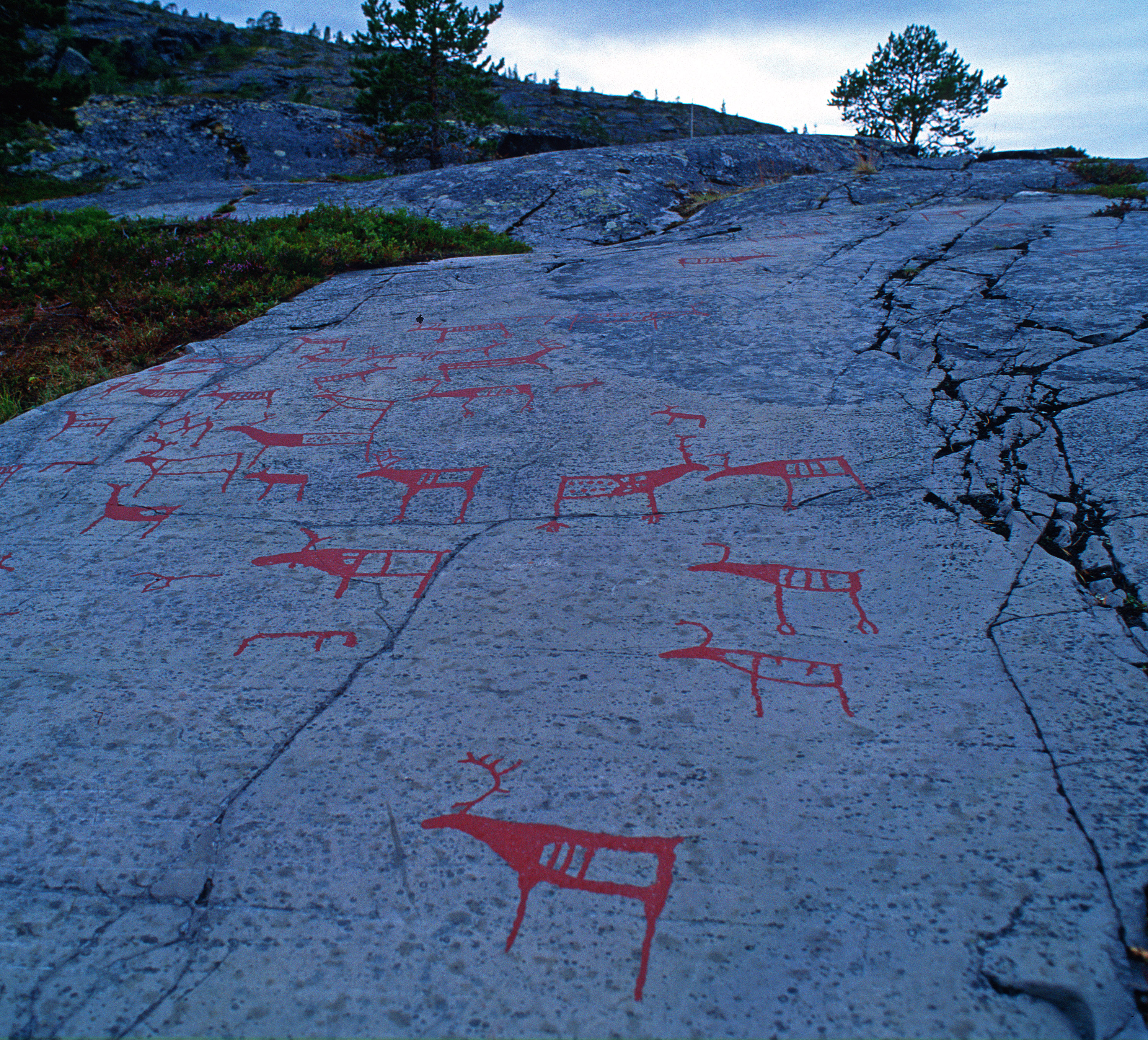 0012 Carvings, Alta
